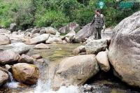 Ảnh Hành trình đi tìm loài cá đắng quý hiếm trên dãy Hoàng Liên Sơn