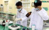 Ảnh Học sinh lớp 10 đã chế tạo đầu dò nano chữa ung thư