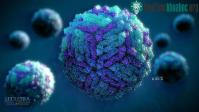 Ảnh Làm thế nào các nhà khoa học chụp được ảnh của các loại virus?