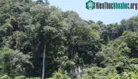 Ảnh Rợn người cảnh vào hang đá khổng lồ, nơi ẩn mình của bầy trăn tại Sơn La