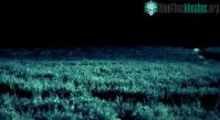 Ảnh Trang trại Skinwalker - Nơi kỳ lạ nhất Trái đất
