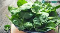 Ảnh Đố các bạn biết vì sao mà thủy thủ Popeye thích ăn rau chân vịt?