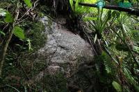 Ảnh Những thông điệp bí ẩn ở tại Madagascar