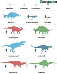 Ảnh Jurassic World: Đây là kích thước thực của các loài khủng long nếu so với con người