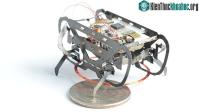 Ảnh Robot nặng khoảng 1,5 gam “chấp” mọi kiểu địa hình nhờ bắt chước loài gián