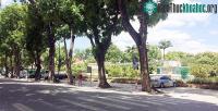 Ảnh Nắng nóng khủng khiếp Hà Nội vắng tanh như... chùa Bà Đanh