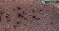 Ảnh NASA công bố hình ảnh bất ngờ về loài "nhện khổng lồ" trên sao Hỏa