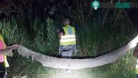 Ảnh Cuộc tìm kiếm trăn mốc dài gần 5 mét ở bờ sông Ba Lan