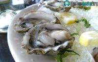 Ảnh Những điều bạn cần biết về vi khuẩn ăn thịt người tồn tại trong hàu sống