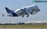Ảnh "Cá voi bay" Beluga XL cất cánh lần đầu tiên