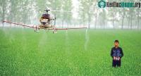 Ảnh Colombia đã dùng drone phun thuốc diệt cây coca để ngăn chúng được tổng hợp thành cocaine