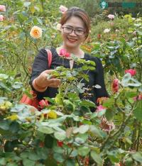 Ảnh Chuyên gia hướng dẫn phương pháp “hô biến” đậu tương thành siêu phân bón hữu cơ