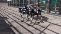 Ảnh Mẫu Robot nhảy mang nhiều kỳ vọng khám phá không gian