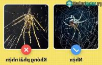 Ảnh Những sự thật khiến cho bạn luôn ngạc nhiên về thế giới sinh vật