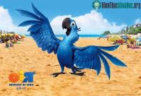 Ảnh Tin sốc: "Vẹt Rio" của Brazil sẽ tuyệt chủng ở trong vòng 2 năm kế tiếp