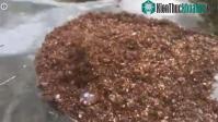 Ảnh Kinh ngạc đảo kiến lửa khổng lồ trôi nổi sau siêu bão Florence ở Mỹ