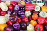 Ảnh Sự thật mà bạn không ngờ tới về màu sắc của quả ớt chuông