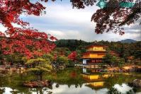Ảnh Chùm ảnh: Sắc thu rực rỡ khắp nơi ở trên thế giới