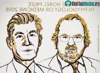 Ảnh Nghiên cứu mới về điều trị ung thư đạt Giải Nobel Y học 2018
