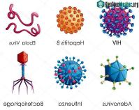 Ảnh Virus cổ xưa nằm trong gene có thể đóng vai trò quan trọng đối với những cơn nghiện