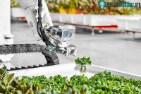 Ảnh Nông trại tự động đầu tiên trên thế giới được quản lý bởi một robot