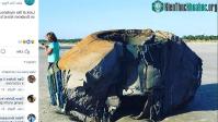 Ảnh Vật thể lạ có hình thể giống máy bay ngoài hành tinh trôi dạt vào hòn đảo nước Mỹ