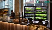 Ảnh Farmshelf - Giải pháp trồng rau ở ngay trong bếp nhà bạn