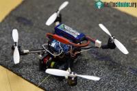 Ảnh Xuất hiện robot “siêu nhỏ” có thể tải vật nặng gấp… 40 lần trọng lượng của mình