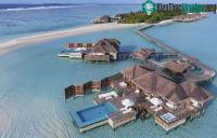 Ảnh Khách sạn ở dưới biển đầu tiên trên thế giới, nơi bạn có thể ngủ cạnh cá mập chỉ với 1 tỷ/1 đêm