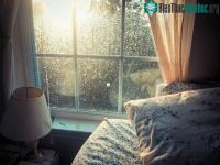 Ảnh Càng nhiều anh sáng Mặt trời trong nhà càng làm giảm lượng vi khuẩn