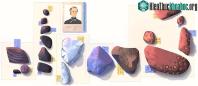 Ảnh Google đổi Doodle tôn vinh nữ kỹ sư đầu tiên trong lịch sử khoa học thế giới trong ngày 10/11