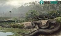 Ảnh Quái vật rắn khổng lồ Titanoboa vẫn còn sống tại khu rừng Amazon?