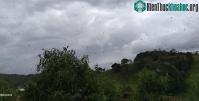 Ảnh Rợn người với cơn mưa nhền nhện ở Brazil