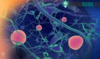 Ảnh Giày Laser có khả năng giúp bệnh nhân Parkinson đi lại