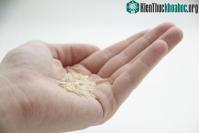Ảnh Tin được không: Một startup đang sản xuất lượng protein từ không khí và điện