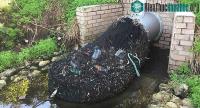 Ảnh Cách xử lý rác thải đơn giản của Úc vừa hiệu quả lại vừa tiết kiệm