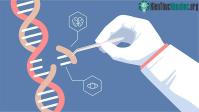 Ảnh Những nguy hại khôn lường từ thí nghiệm chỉnh sửa gene người của nhà khoa học Trung Quốc