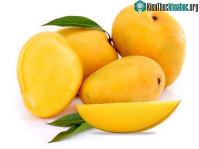 Ảnh Tìm hiểu giống xoài ngon nhất thế giới