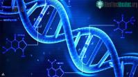 Ảnh Vingroup đã chi tiền giải trình tự hệ gene 1.000 người Việt