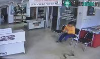 Ảnh  Rắn vào đồn cảnh sát để tìm người cắn và diễn biến ngộp thở