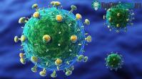 Ảnh Người thứ ba trên thế giới được chữa khỏi HIV hoàn toàn