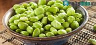 Ảnh 5 thực phẩm có tác dụng phòng ngừa ung thư người Nhật ưa dùng