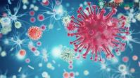 Ảnh Họ virus HIV đã tồn tại khoảng gần nửa tỉ năm tuổi