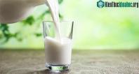 Ảnh Nguyên nhân khiến người châu Á khó hấp thụ sữa hơn những chủng tộc khác?