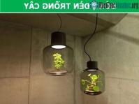 Ảnh Những phát minh tuyệt vời thân thiện với thiên nhiên và cả con người