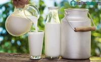 Ảnh Kỹ thuật đột phá giúp bảo quản sữa tươi đến 60 ngày