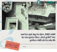 Ảnh Năm 1965, một cô gái dạy cá heo nói Tiếng Anh khiến con cá dành tình yêu điên cuồng cho cô ấy