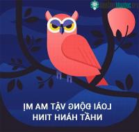 Ảnh Khám phá bí ẩn loài động vật ma mị nhất hành tinh