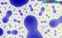 Ảnh Công nghệ plasma mới có thể tiêu diệt được 99,9% vi trùng gây bệnh trong không khí