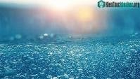 Ảnh Phát hiện vi sinh vật sống sót nhờ thạch tín tại Thái Bình Dương